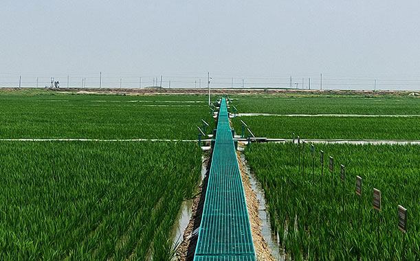 神獸即將歸籠，兒童口罩怎么買？標(biāo)準(zhǔn)是什么？